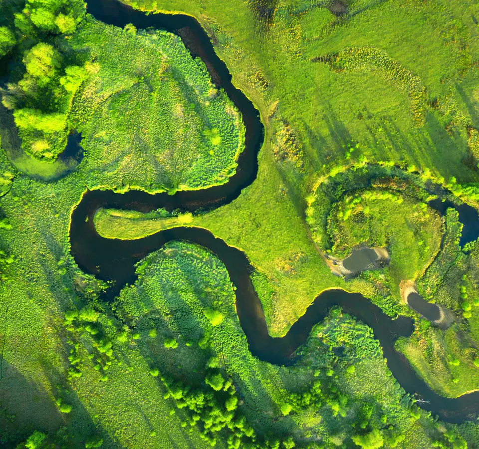 sustainable sustainability management esg nachhaltigkeitsintegration messbarkeit erfolg